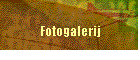 Fotogalerij