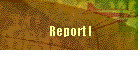 Report I