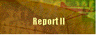 Report II