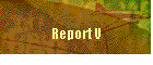 Report V