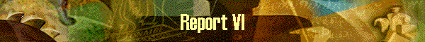 Report VI